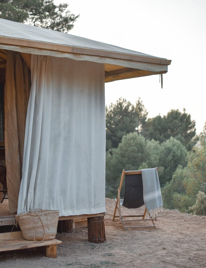 Una habitación repleta de pinos en el interior de Valencia