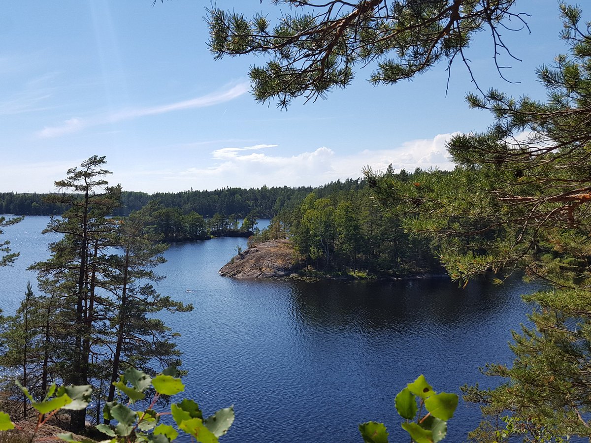 Cómo llegar gratis a Tyresta Nationalpark | Estocolmo